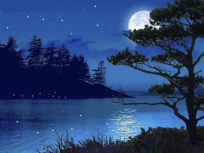 Bài văn tả một đêm trăng đẹp ở quên em đầy biểu cảm