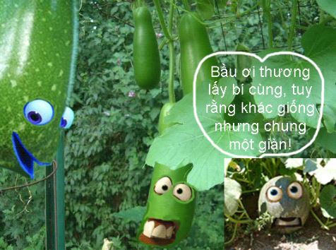 Nghị luân về câu ca dao Bầu ơi thương lấy bí cùng