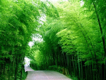 Cảm nghĩ