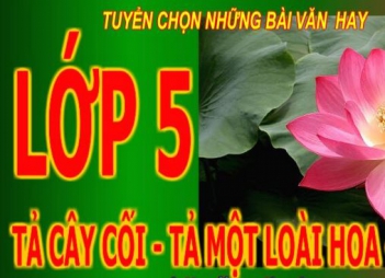 Bài văn hay