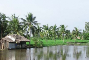 Bài văn hay
