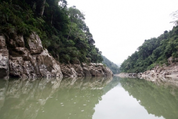 Miêu tả