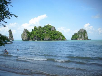 Miêu tả
