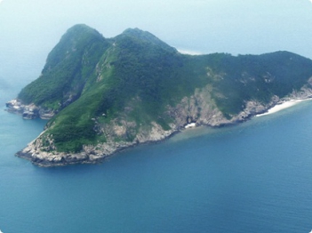 Cảm nghĩ
