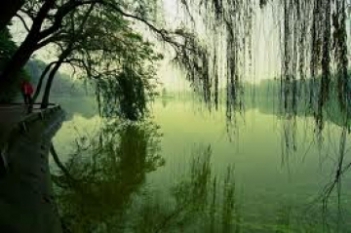 Cảm nghĩ