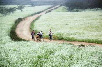 Cảm nghĩ