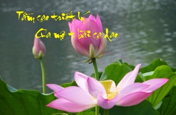 Nghị luận