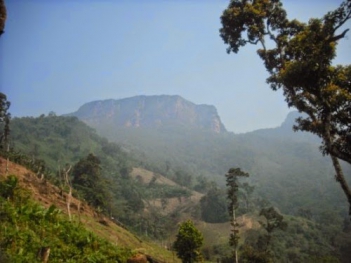 Phân tích khổ 4 bài thơ Tây Tiến của Quang Dũng