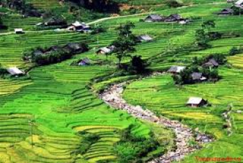 Phân tích khổ 5 bài thơ Việt Bắc của Tố Hữu