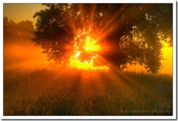 Mẫu văn phân tích bài thơ Từ Ấy của Tố Hữu xúc tích