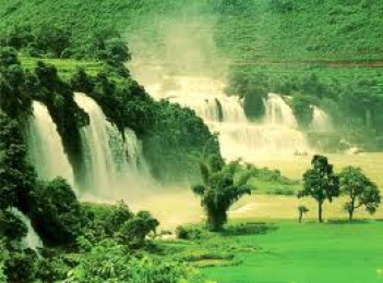 Phân tích bài thơ Cảnh Rừng Việt Bắc của Bác Hồ