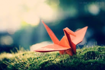 Câu chuyện ý nghĩa về cuộc sống