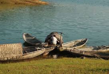 Phân tích bài thơ Câu Cá Mùa Thu của Nguyễn Khuyến