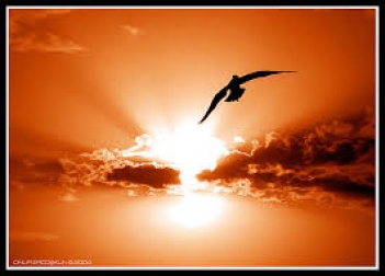 Phân tích bài thơ Chiều Tối (Mộ) của Hồ Chí Minh