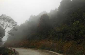 Phân tích bài thơ Giải Đi Sớm của Hồ Chí Minh