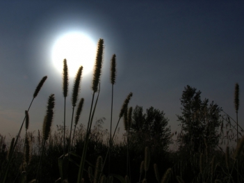 Phân tích bài thơ Ngắm Trăng (Vọng Nguyệt) của Hồ Chí Minh