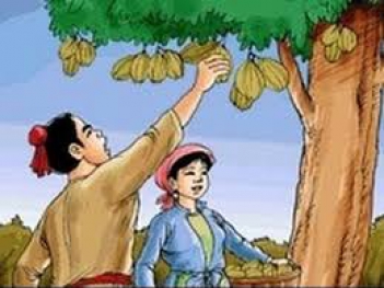 Kể lại một câu chuyện cổ tích mà em thích