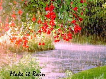 Tả một cơn mưa mùa hạ