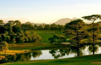 Tả một cảnh đáng nhớ trong chuyến về thăm quê em