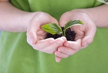 Kể chuyện Hai bàn tay qua lời kể bác Lê