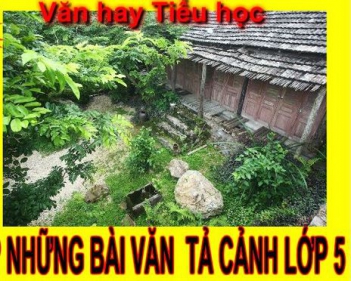Những bài văn hay lớp 5 tả cảnh hay nhất