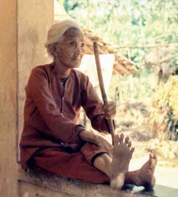 Bài văn hay kể lại câu chuyện đi thăm bà mẹ liệt sĩ