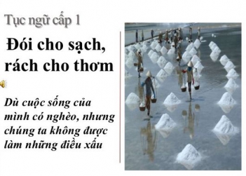 Bài văn nghị luận câu nói đói cho sạch, rách cho thơm
