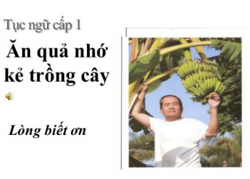 Nghĩ luận câu tục ngữ Ăn quả nhớ kẻ trồng cây