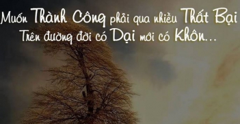 Giải thích và chứng minh câu tục ngữ Thất bại là mẹ thành công