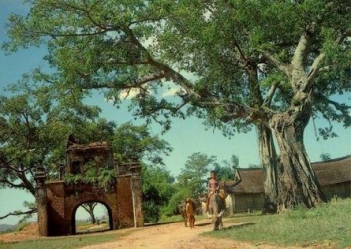Phát biểu cảm nghĩ của em về truyện Làng cùa. Kim Lân.