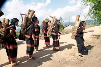 Phân tích bài thơ Lấy củi của Sóng Hồng