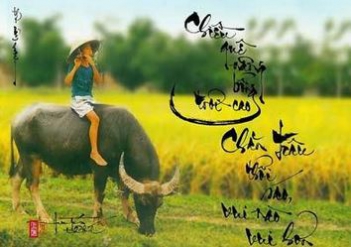 Bài văn hay tả cảnh mục đồng thổi sao dẫn trâu về nhà theo trí tưởng tượng