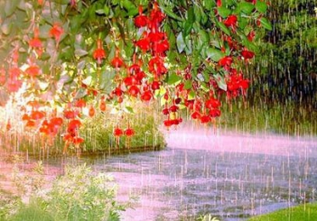 Phân tích bài thơ cảnh ngày hè của Nguyễn Trãi.