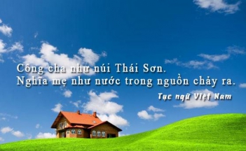 Bài văn phát biểu cảm nghĩ câu ca dao về chủ đề gia đình rất hay