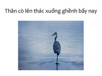 Cảm nghĩ về những câu hát than thân trong văn học