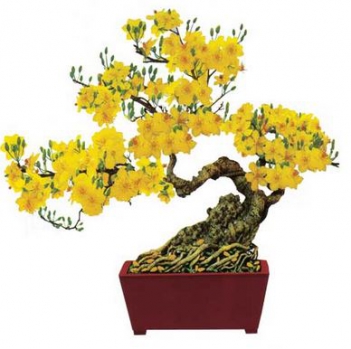 Dàn ý và bài văn miêu tả cây mai vàng rất hay