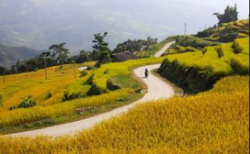 Hãy tả con đường làng em vào lúc đang vụ mùa thu hoạch