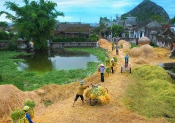 Bài văn hay miêu tả cảnh nhộn nhịn buổi sáng ở làng quê