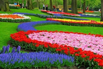 Bài văn hay kể về một kỷ niệm khó quên về tình bạn
