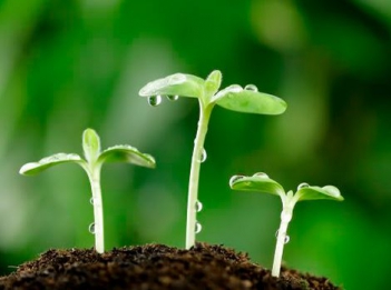 Câu chuyện hay nói về sự liên kết giữa các câu ca dao
