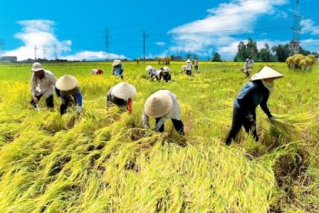 Nghị luận về câu nói của Bác Hồ về cần cù lao động