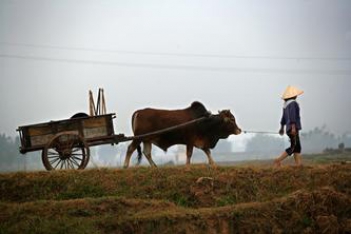 Phát biểu cảm nghĩ khi đọc bài ca dao anh đi anh nhớ quê nhà