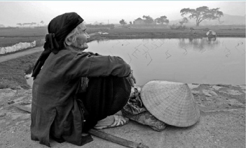 Cảm nghĩ về người bà trong gia đình