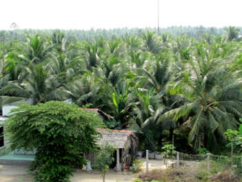 Giới thiệu về quê hương Bến Tre