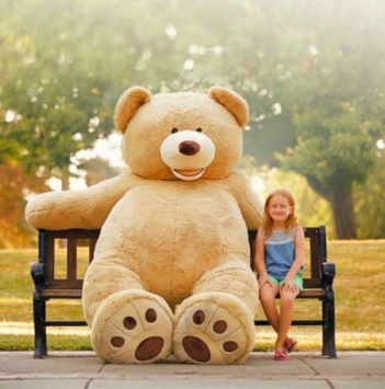 Cách nhận biết gấu bông Teddy chính hãng