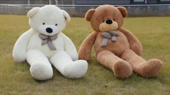 Top 5 gấu bông teddy thích hợp làm quà tặng sinh nhật bạn thân